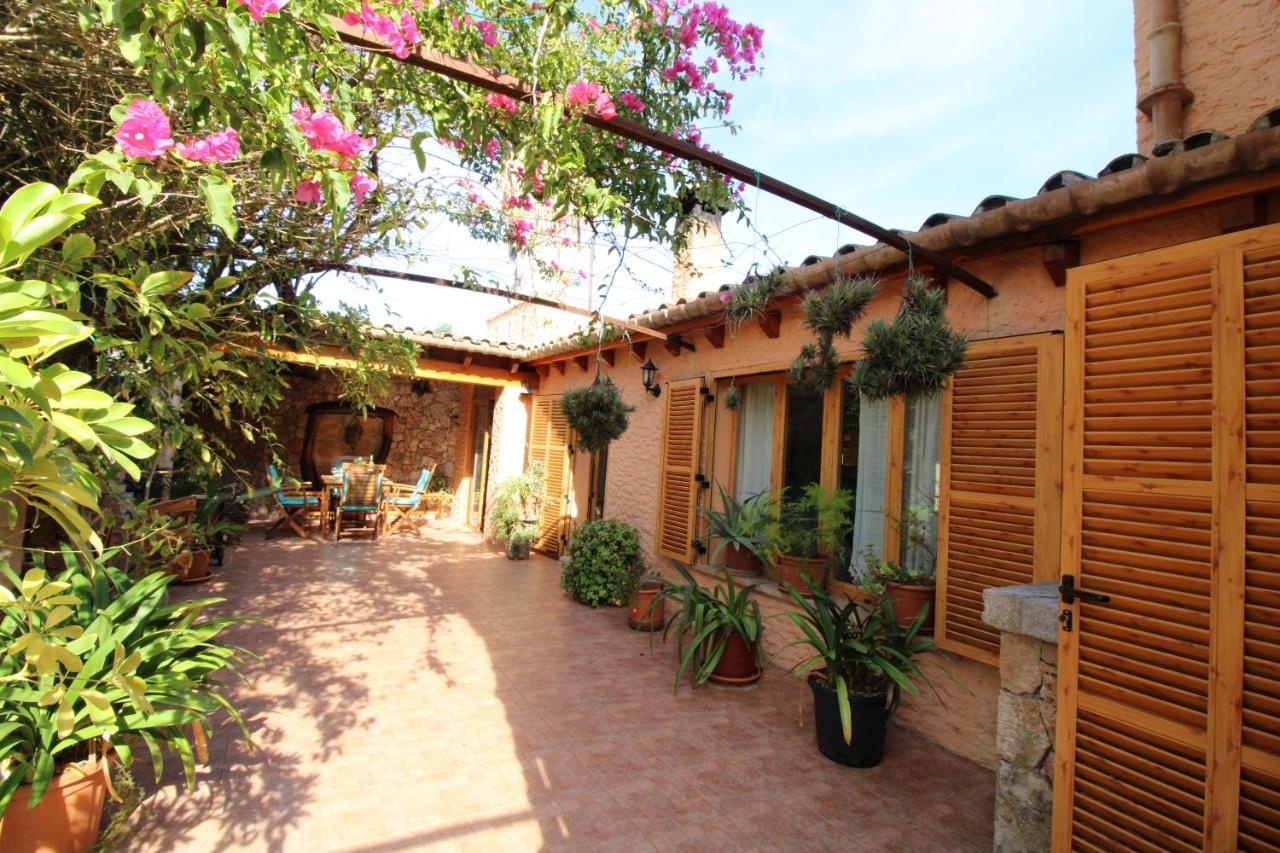 Gato Den Vives Ferienhaus Port de Pollença